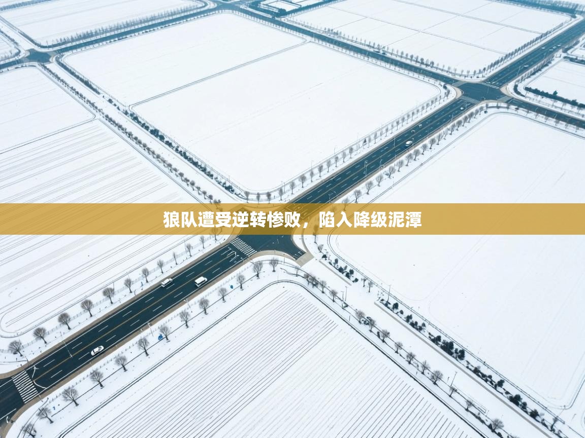 狼队遭受逆转惨败，陷入降级泥潭  第1张