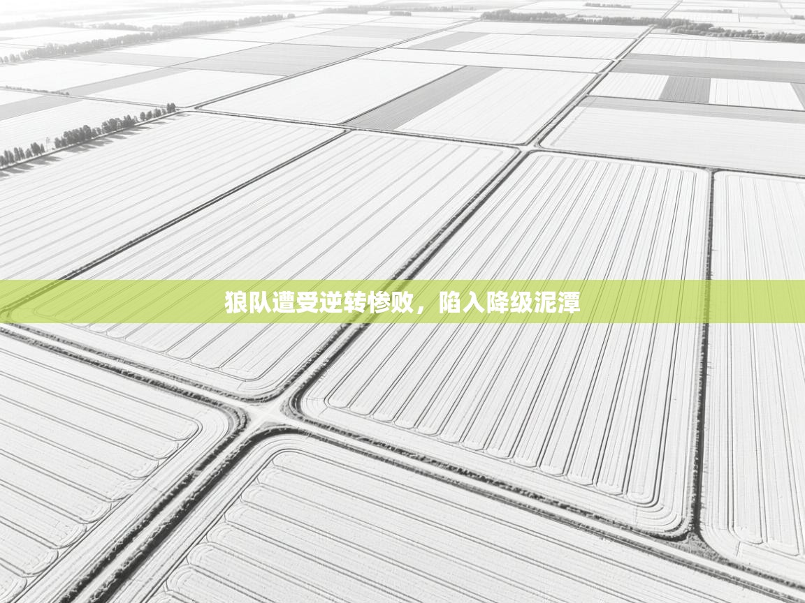 狼队遭受逆转惨败，陷入降级泥潭  第2张