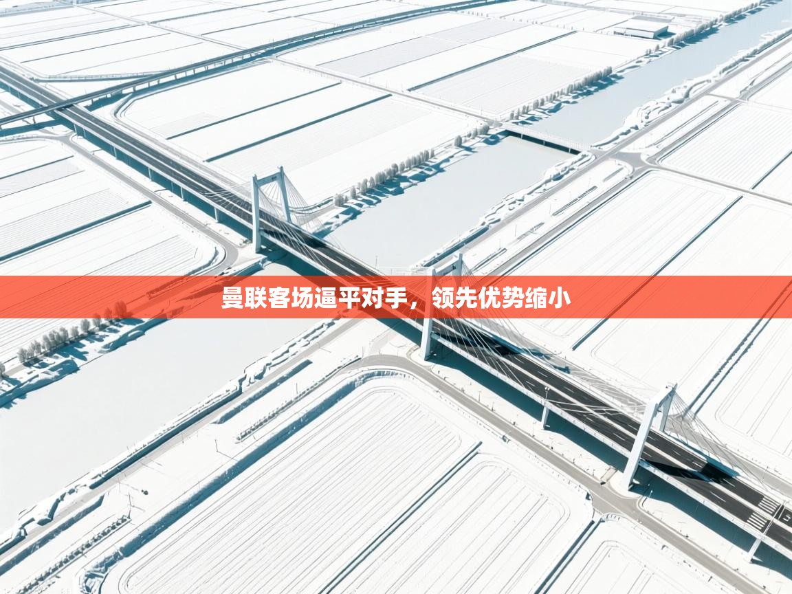 曼联客场逼平对手，领先优势缩小  第1张