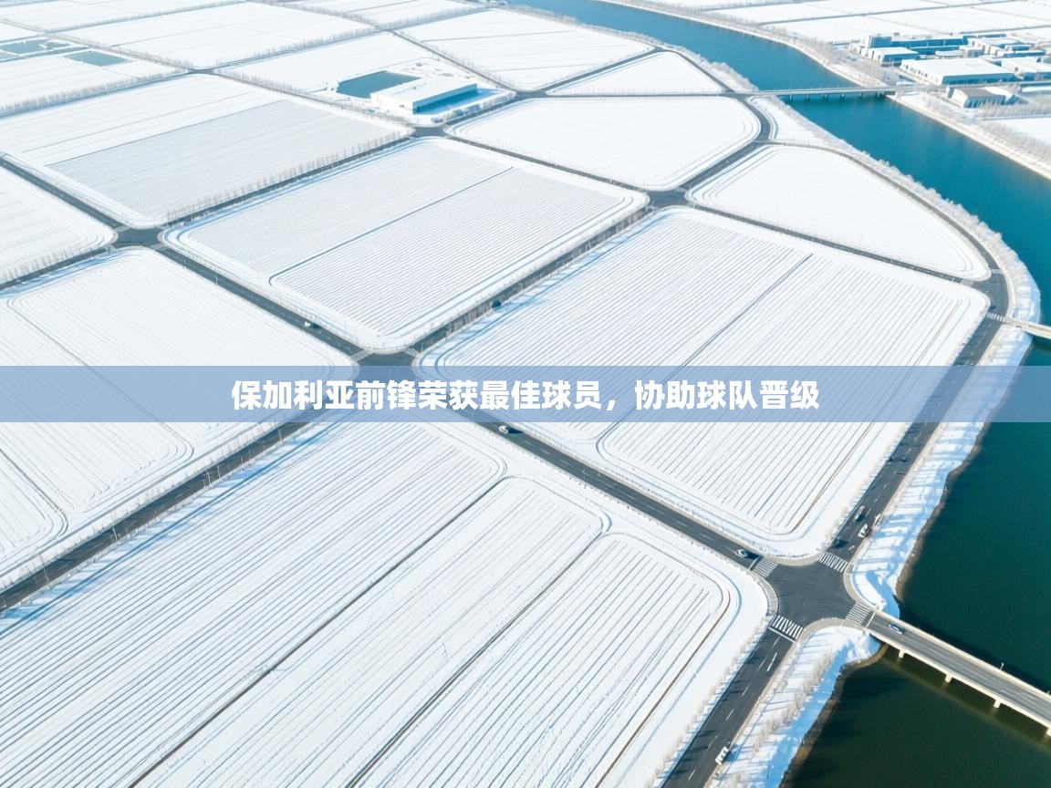 保加利亚前锋荣获最佳球员，协助球队晋级  第1张