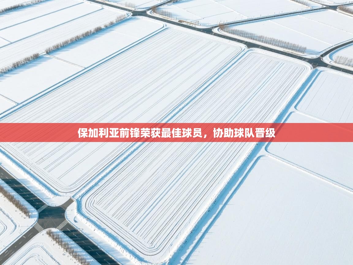 保加利亚前锋荣获最佳球员，协助球队晋级  第2张