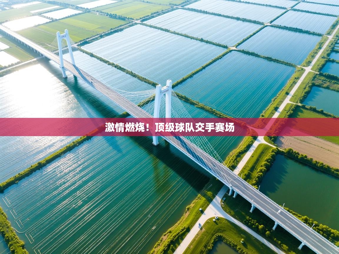 激情燃烧！顶级球队交手赛场  第1张