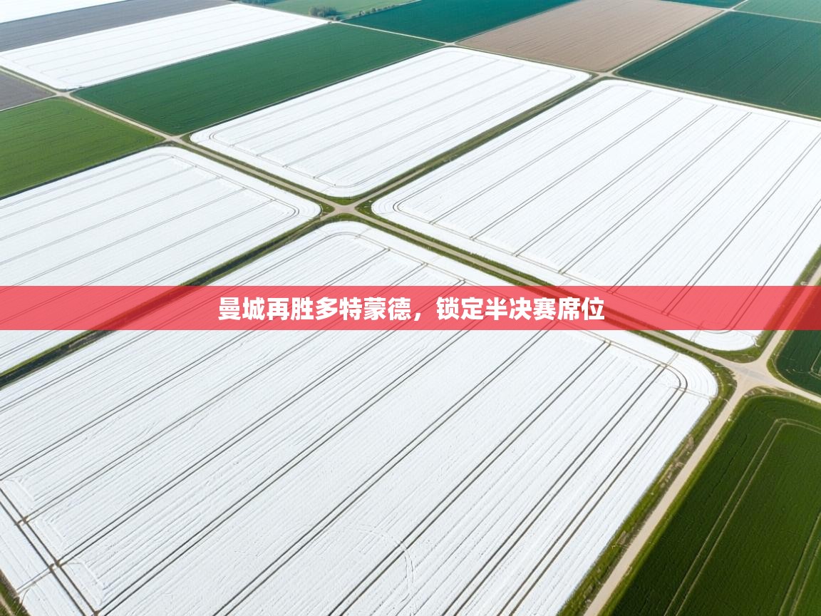 曼城再胜多特蒙德,锁定半决赛席位 第1张