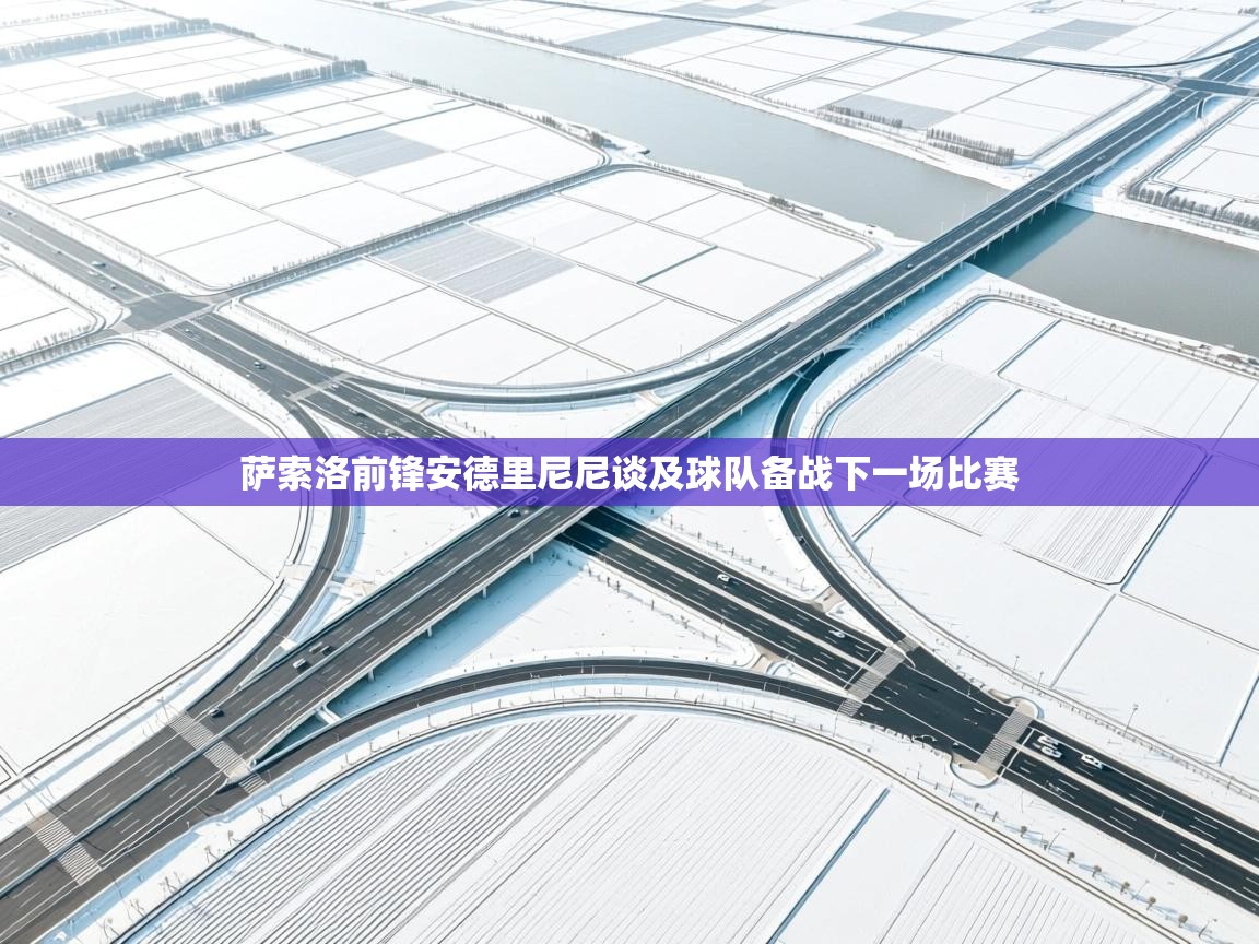 萨索洛前锋安德里尼尼谈及球队备战下一场比赛  第1张
