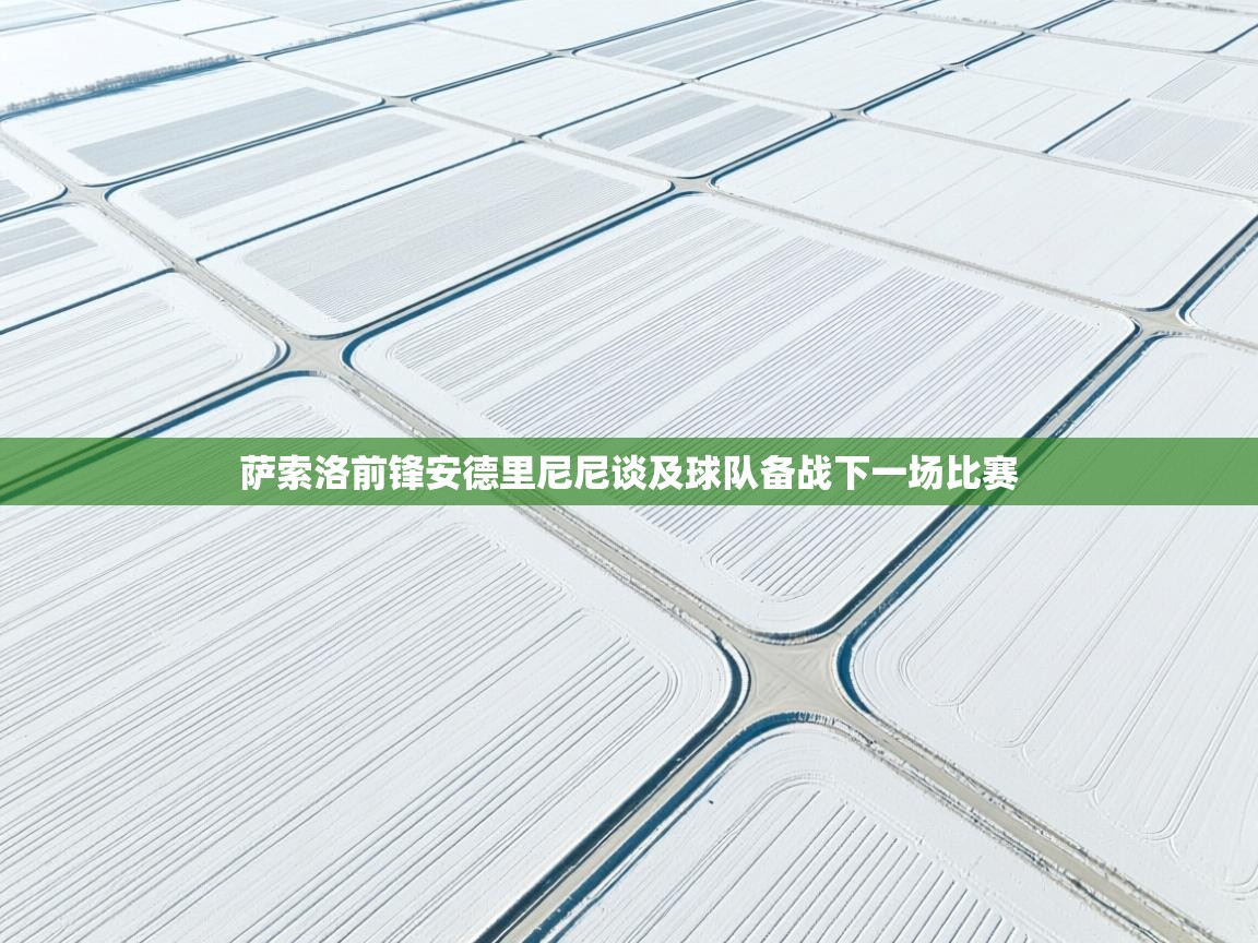 萨索洛前锋安德里尼尼谈及球队备战下一场比赛  第2张