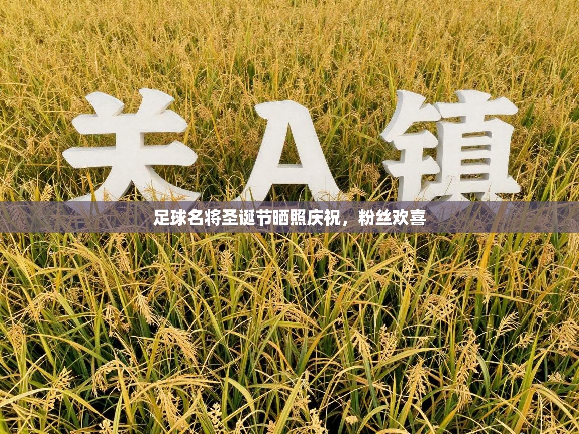 足球名将圣诞节晒照庆祝，粉丝欢喜  第2张